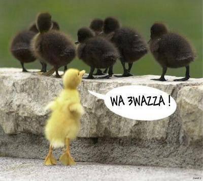 awah